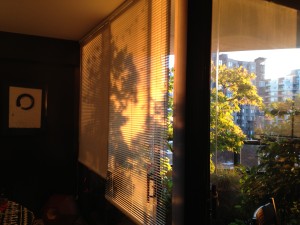 Warm afternoon sun at 504