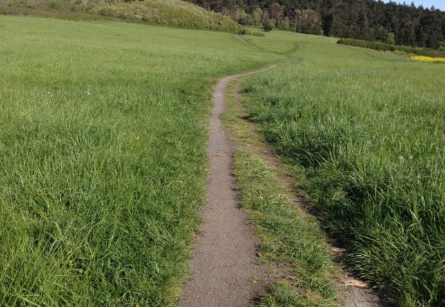 Path from beach to fort